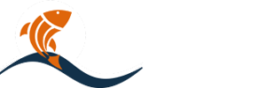 Novara Plast